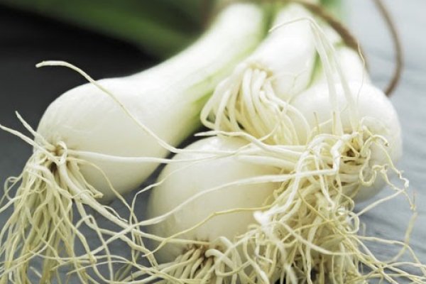 Как найти ссылку на кракен