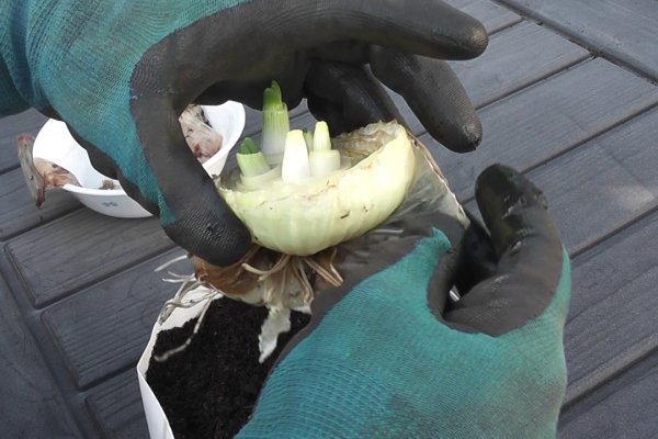 Кракен сайт вход официальный зеркало